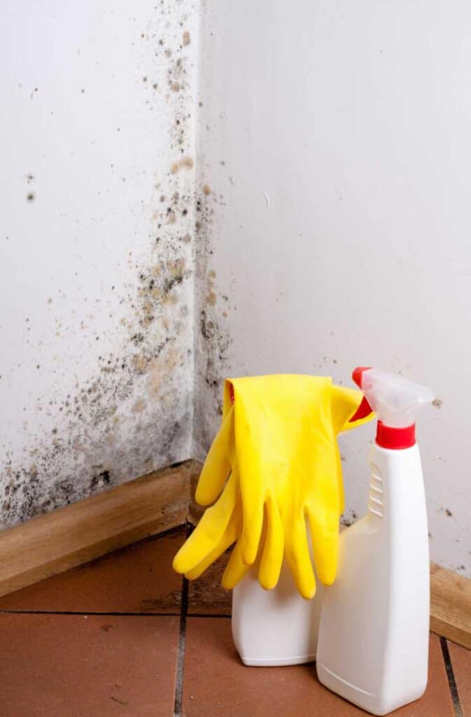 Mold Air Quality Testing And Sampling Services in Mount Holly, NJ